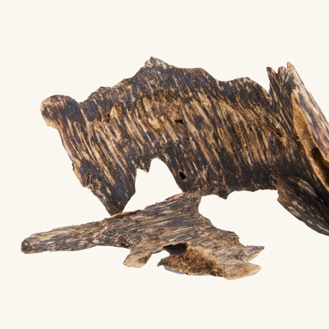 Miếng Trầm Hương Dó Xí Nha Trang 008