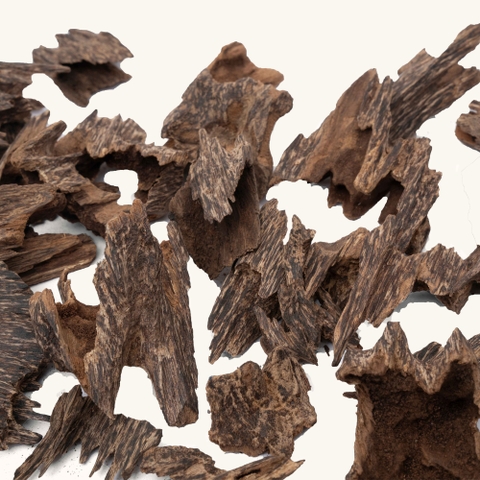 Miếng Trầm Hương Gót Quảng Nam 007