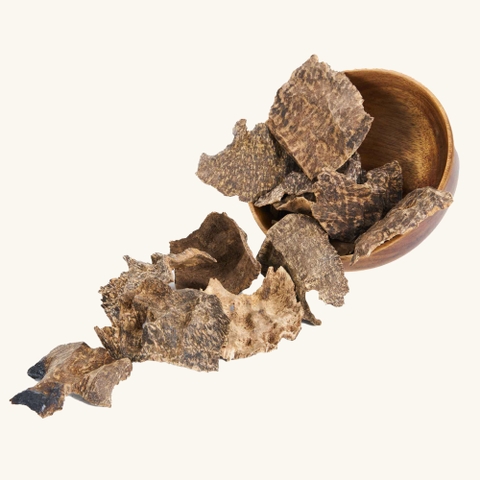 Miếng Trầm Hương Mọ Quảng Bình 004