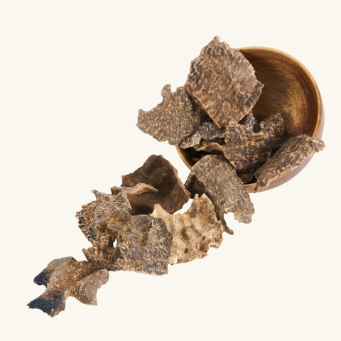 Miếng Trầm Hương Mọ Quảng Bình 001 (loại chọn lọc)