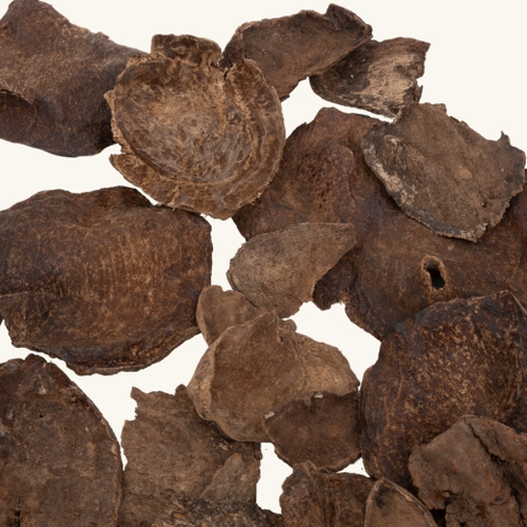 Miếng Trầm Hương Nha Trang Việt Nam 006