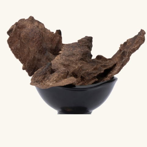 Miếng Trầm Hương Nha Trang Việt Nam 006