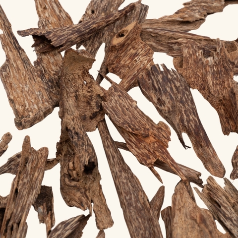 Miếng trầm hương Xí Hà Tĩnh 011