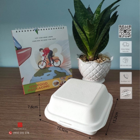 Hộp Bã Mía Vuông 500ml