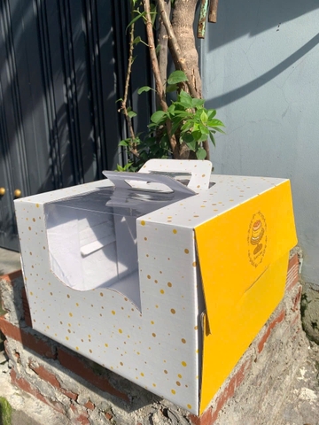 Hộp Đựng Bánh Kem Giấy Mẫu Sao Vàng