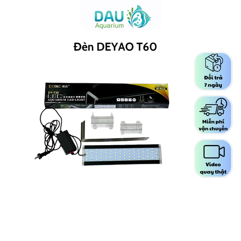 Đèn Deyao T60