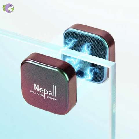 Nam châm Nepall