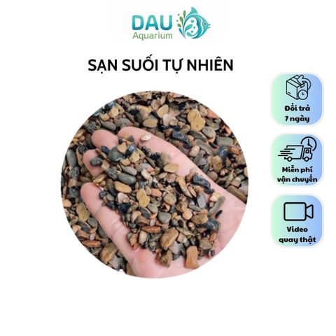 Sạn suối tự nhiên (1kg) - Trải nền bể cá, bể thuỷ sinh