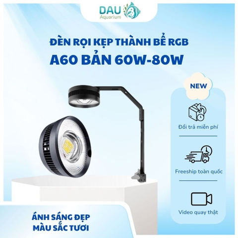 Đèn LED rọi A60 RGB (60/80W) - Nâng cấp ánh sáng mạnh mẽ, đánh màu cá rực rỡ, ánh sóng nước lung linh