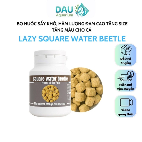 Bọ nước đông khô sấy lạnh Lazy Square water beetle thức ăn siêu đạm kích size cho cá cảnh cực tốt