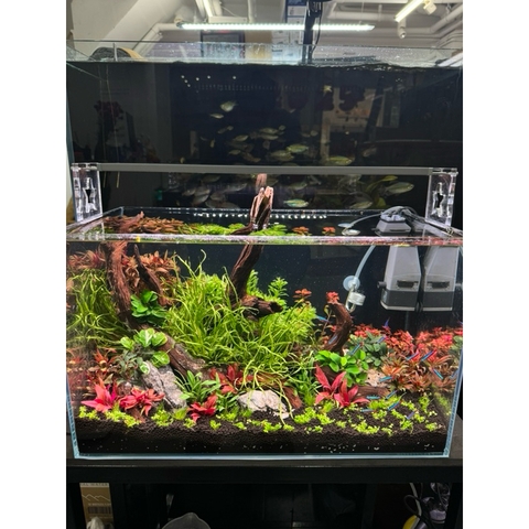 Đèn thuỷ sinh LEDSTAR AQ-S WRGB - Chỉnh App, đem đến trải nghiệm ánh sáng chân thực, giúp cây lên màu rực rỡ