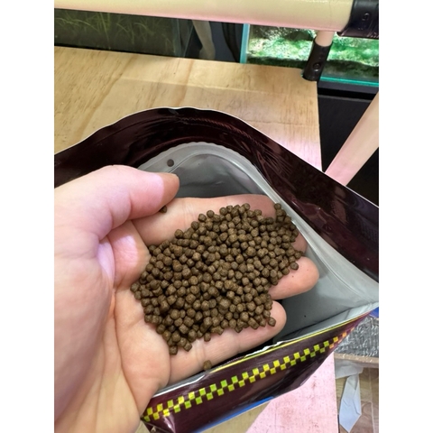 Cám chép sư tử, phi tần Mega Jumbo (Hạt nổi)- Hỗ trợ tăng body và vây dài đẹp, cung cấp dinh dưỡng toàn diện cho cá