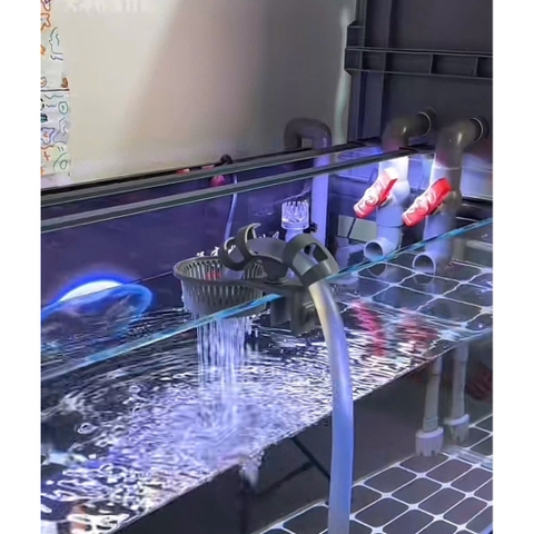 Kẹp ống thay nước thông minh - Tránh bị xối nền, nước xả ra mạnh làm cá stress