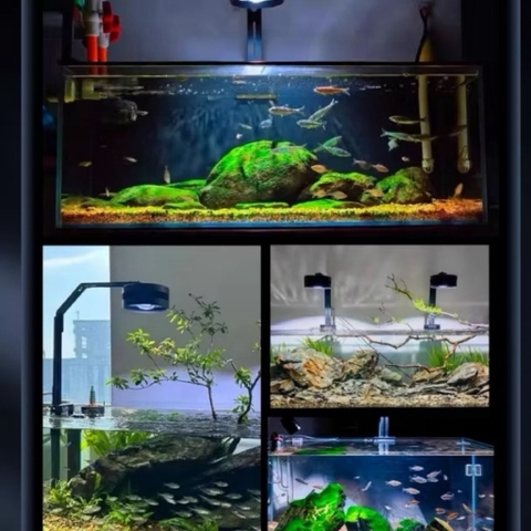 Đèn LED rọi A60 RGB (60/80W) - Nâng cấp ánh sáng mạnh mẽ, đánh màu cá rực rỡ, ánh sóng nước lung linh