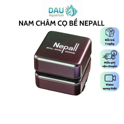 Nam châm cọ bể Nepall