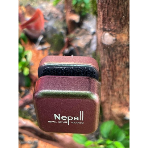 Nam châm cọ bể Nepall