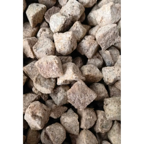 Bọ nước đông khô sấy lạnh Lazy Square water beetle thức ăn siêu đạm kích size cho cá cảnh cực tốt