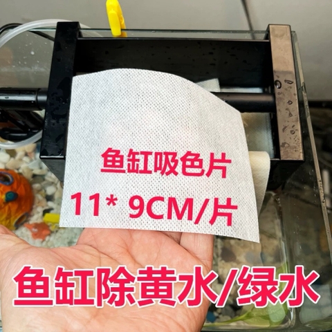 Giấy thấm hút màu nước - Giải pháp xử lý màu nước bể cá siêu tốc