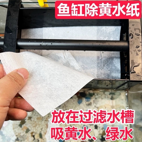 Giấy thấm hút màu nước - Giải pháp xử lý màu nước bể cá siêu tốc