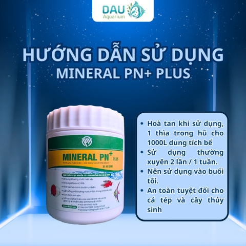 Khoáng Bột PN Mineral Plus X4 Vi Sinh, kèm Vitamin C