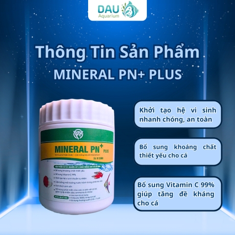 Khoáng Bột PN Mineral Plus X4 Vi Sinh, kèm Vitamin C