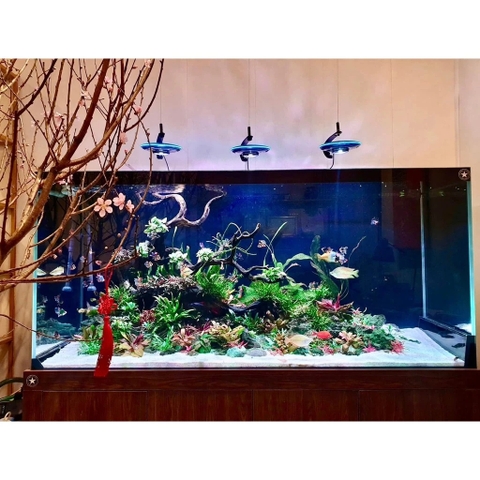 Cát MIX DAU AQUARIUM siêu sạch cho bể thuỷ sinh (1kg, 2kg, 5kg)