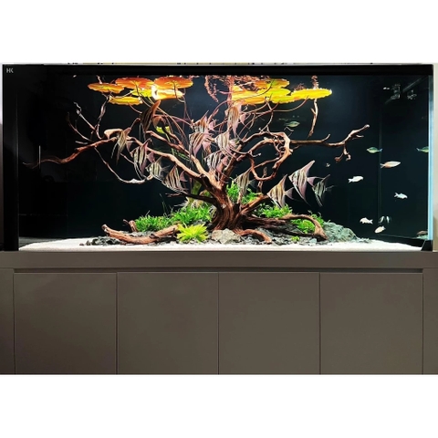 Cát MIX DAU AQUARIUM siêu sạch cho bể thuỷ sinh (1kg, 2kg, 5kg)