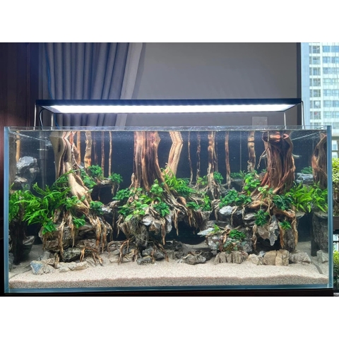 Cát MIX DAU AQUARIUM siêu sạch cho bể thuỷ sinh (1kg, 2kg, 5kg)