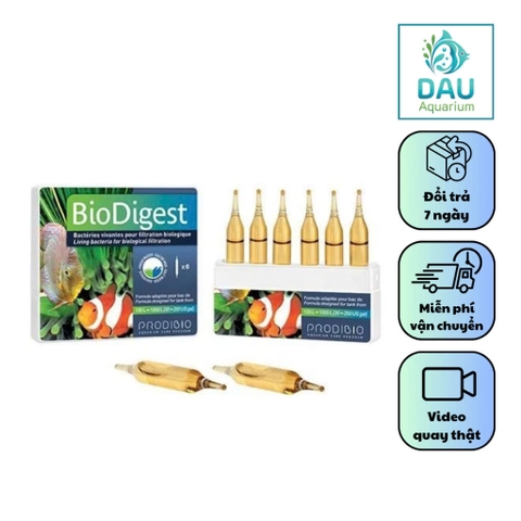 Vi Sinh Sống ProDibio Bio Digest (ống) - Hàng Pháp