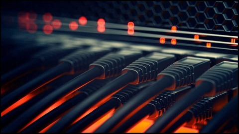 Tại sao phải bấm dây mạng theo chuẩn? 5 Lý do không thể bỏ qua