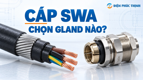 Cáp Giáp SWA Dùng Cable Gland Loại Nào? Cách Chọn Armoured Gland