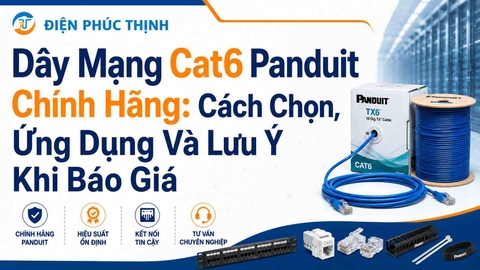 Dây Mạng Cat6 Panduit Chính Hãng: Cách Chọn, Ứng Dụng Và Lưu Ý Khi Báo Giá