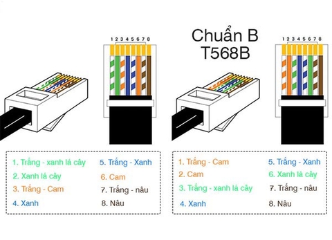 Nên bấm dây mạng chuẩn A hay B? Lựa chọn nào tối ưu