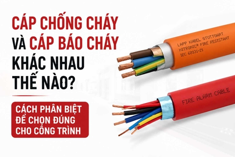 Cáp chống cháy và cáp báo cháy khác nhau thế nào? Cách phân biệt để chọn đúng cho công trình