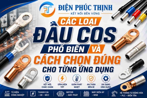 Các Loại Đầu Cos Phổ Biến Và Cách Chọn Đúng Cho Từng Ứng Dụng