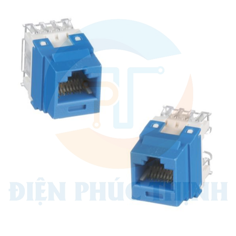 NK688MBU / Mô-đun giắc cắm Panduit Keystone Punchdown- UTP - RJ45 - Cat 6 - BU