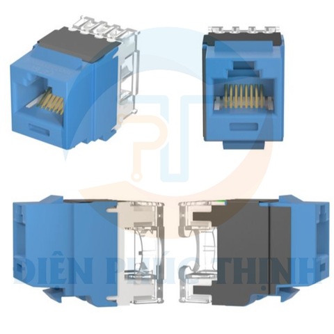 NK6X88MBU / Mô-đun giắc cắm Panduit Keystone Punchdown- UTP - RJ45 - Cat 6 - BU