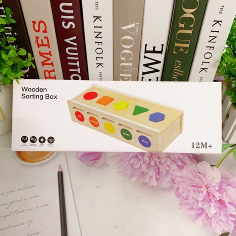 Hộp Thả Hình Khối Màu Sắc Montessori Cho Bé – Phát Triển Tư Duy, Nhận Biết Màu Sắc Và Kỹ Năng Vận Động Tinh - POPIKIDS