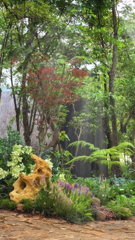 Tiền cảnh lối đi