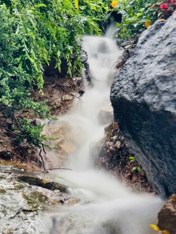 Mơ Hạ - Nơi giấc mơ từ núi rừng xuôi dòng hạ lưu