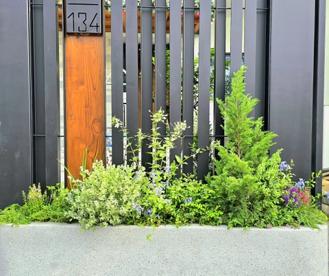 Thiết Kế Vườn Hiện Đại