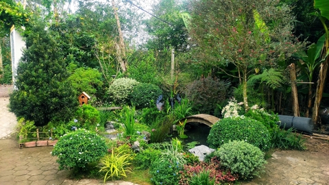 Thiết Kế Sân Vườn Thượng Uyển