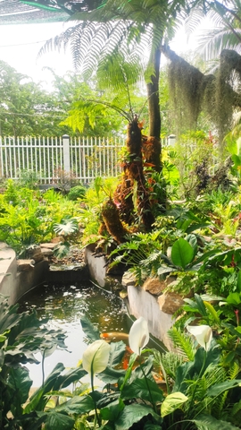 Thiết Kế Vườn Nhiệt Đới