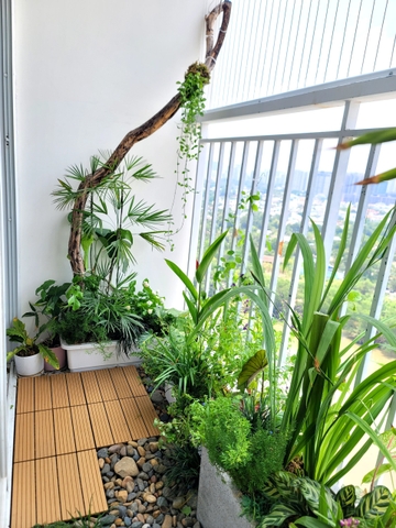 Cải tạo Ban công nhỏ Chung cư Terra Mia