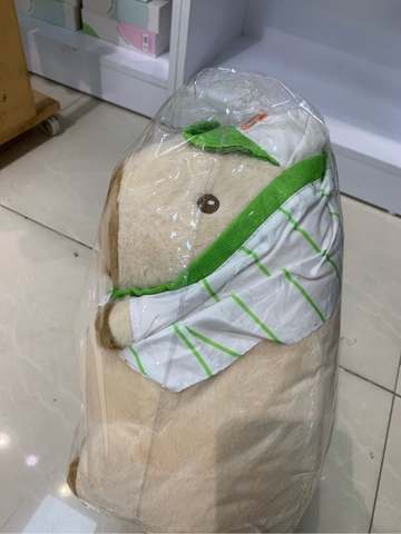 VV - Capibara áo hồng - Mặc định