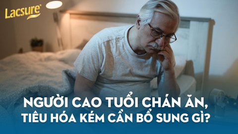 Người Cao Tuổi Chán Ăn, Tiêu Hóa Kém Cần Bổ Sung Gì?
