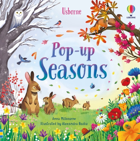Usborne Pop up: Seasons