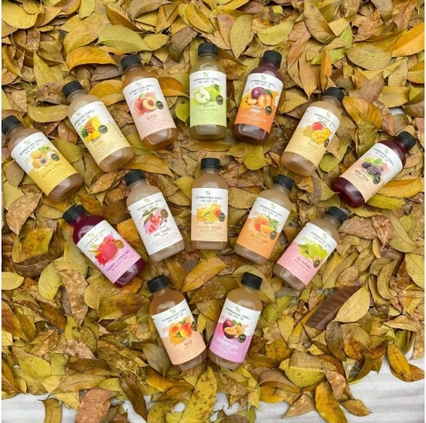Kombucha chill vải 250ml