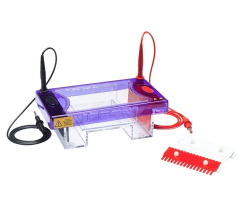 Bể điện di ngang MultiSUB Max, Model: MSMAXI, Hãng: Cleaver Scientific/Anh