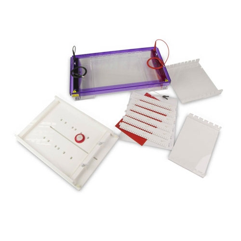 Bể điện di ngang MultiSUB Screen, Model: MSSCREEN, Hãng: Cleaver Scientific/Anh